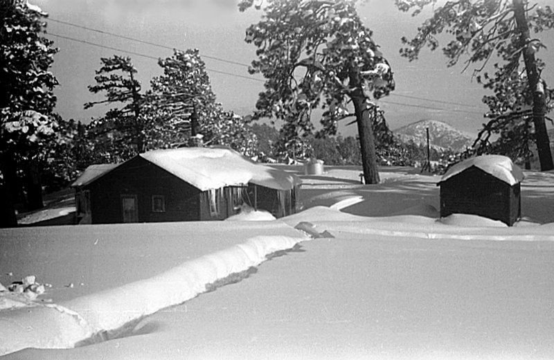 Residence-1949