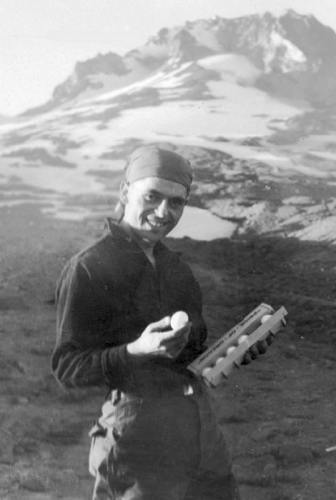 1931