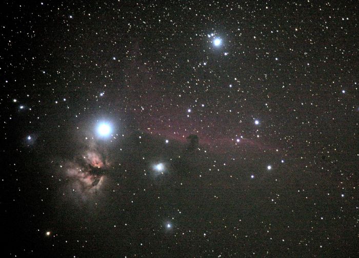 Horsehead