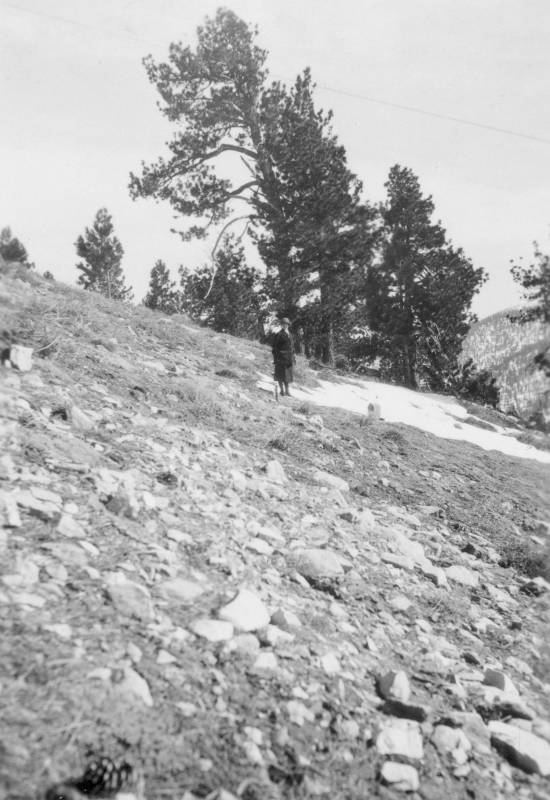 NewRoadRoute