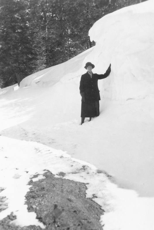 Snow Road