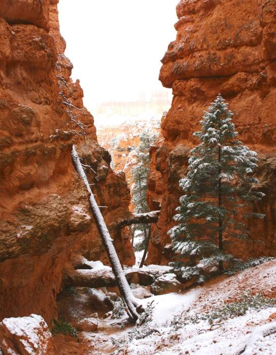 BryceCanyon