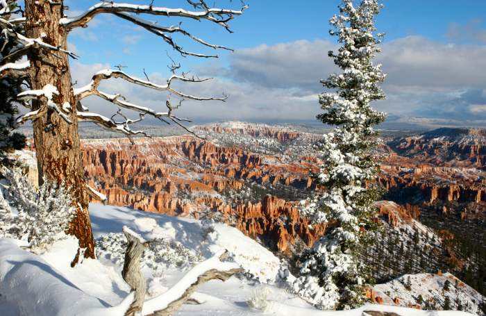 BryceCanyon