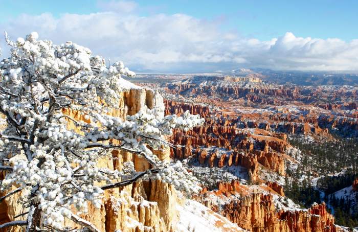 BryceCanyon
