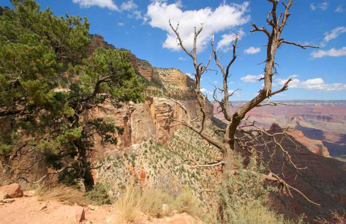 GrandCanyonSouthRim
