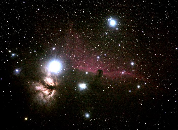 Horsehead