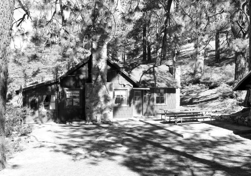 Cabin8