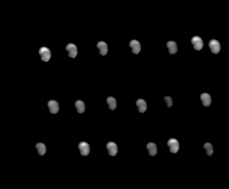 Mars
