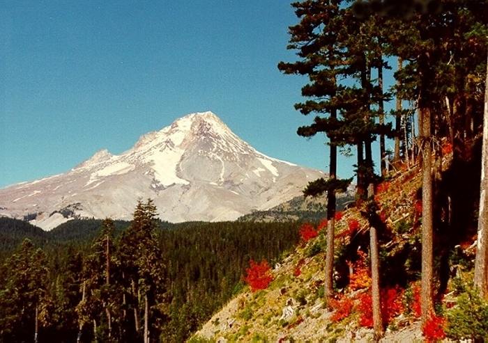 Mt Hood 1
