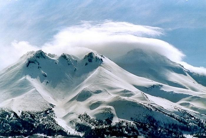 Shasta 1