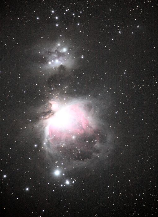 Orion