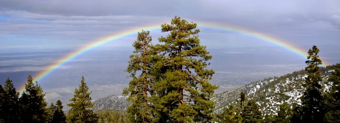 Rainbow