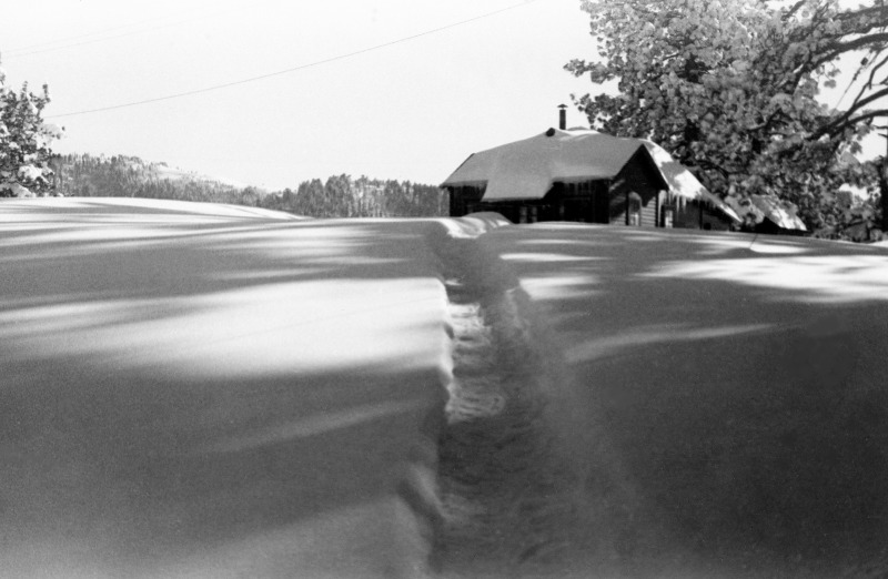 Shop-1949