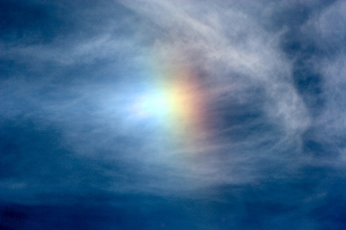 Sun Dog