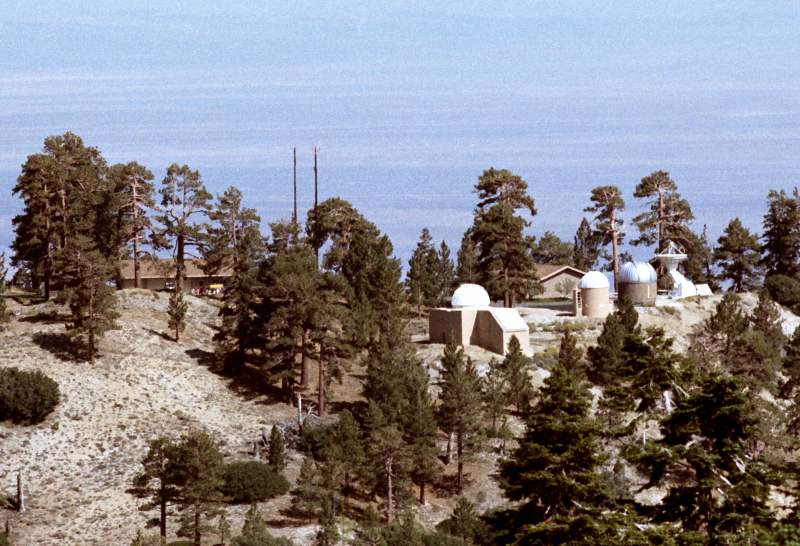 1984-1