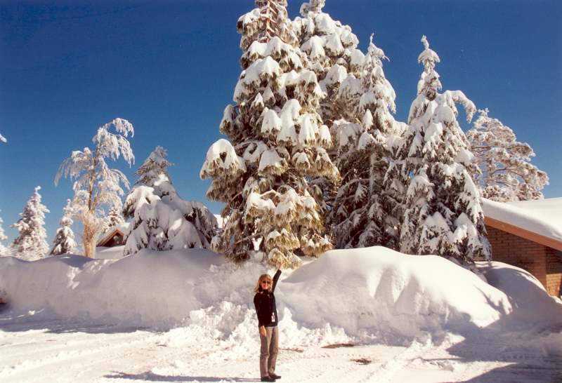 Glatfelter-Snow