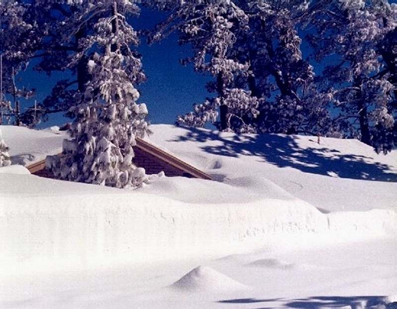 TM-17Snow