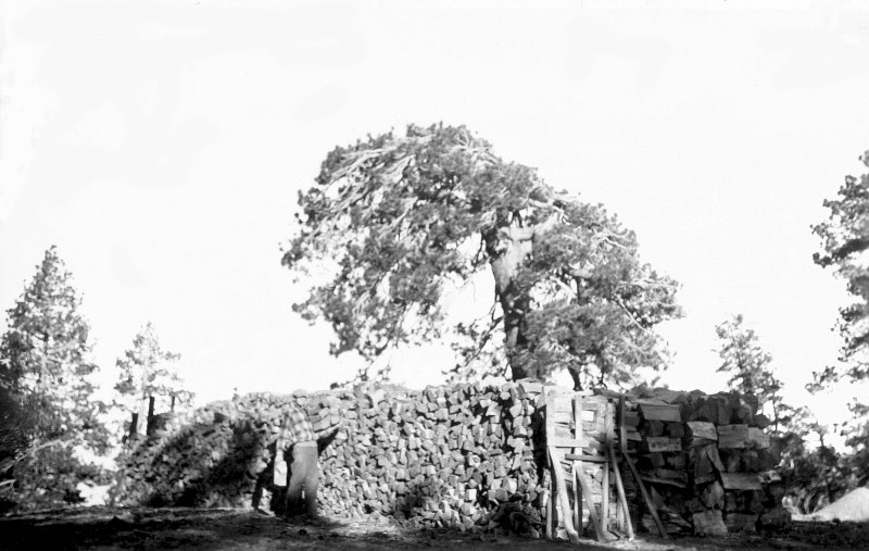 WoodPile